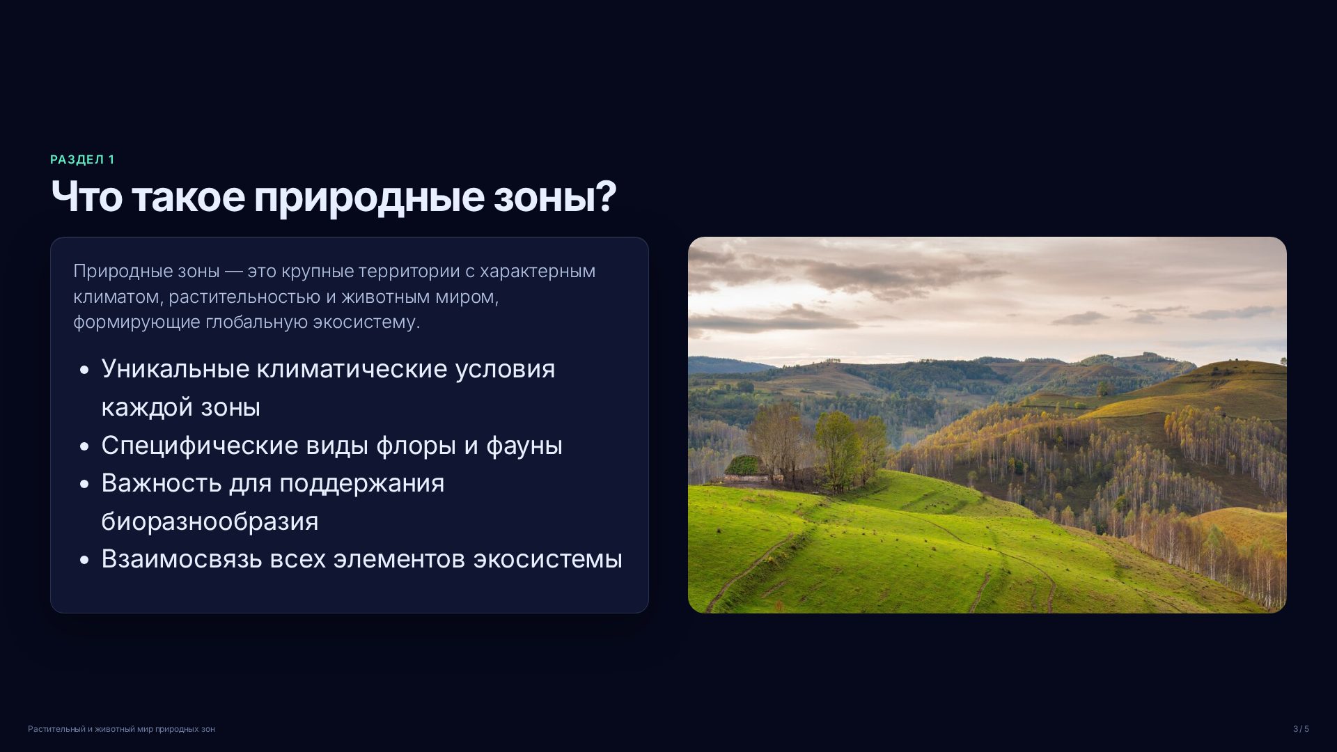 Слайд 3