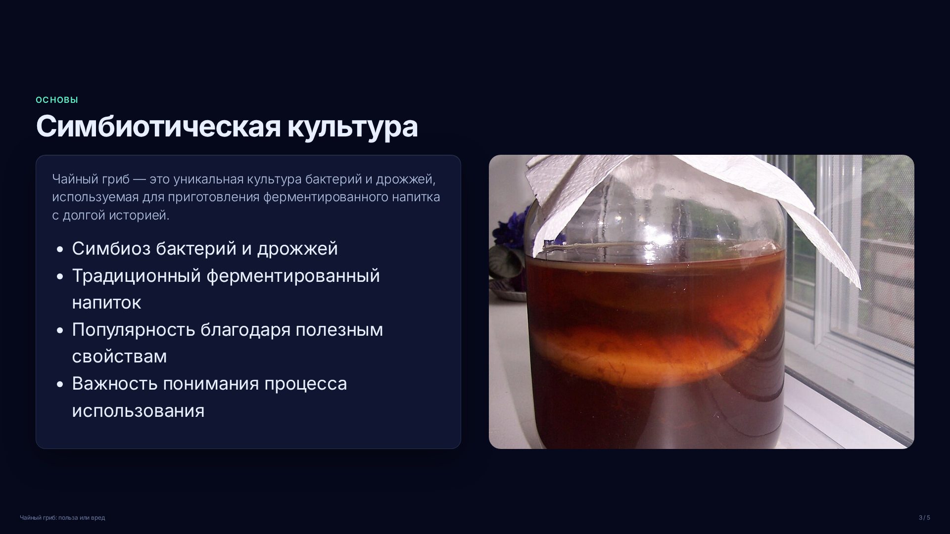 Слайд 3