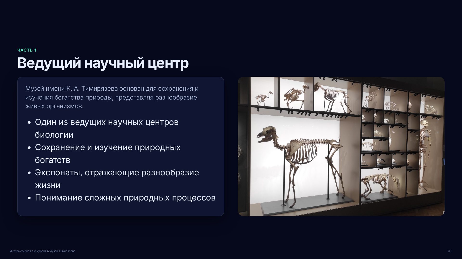 Слайд 3