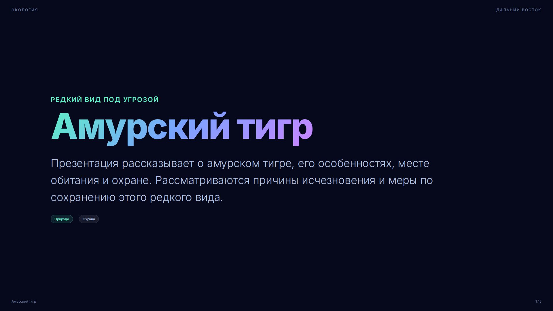 Слайд 1