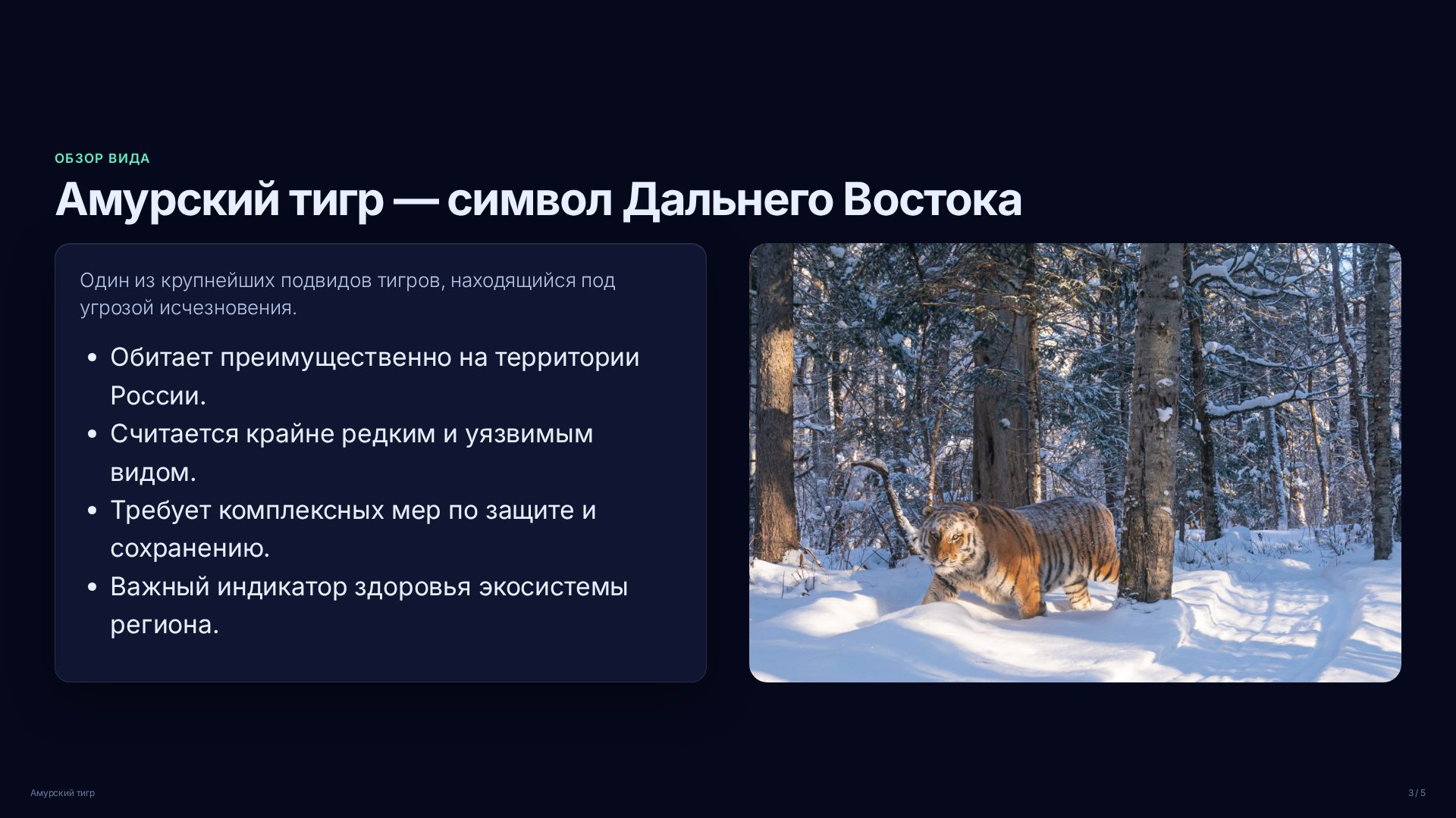 Слайд 3