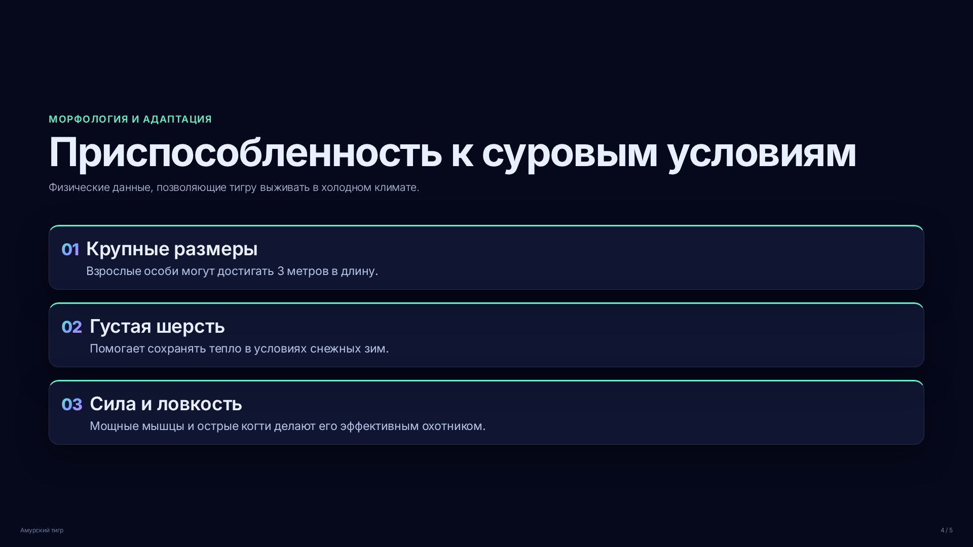 Слайд 4