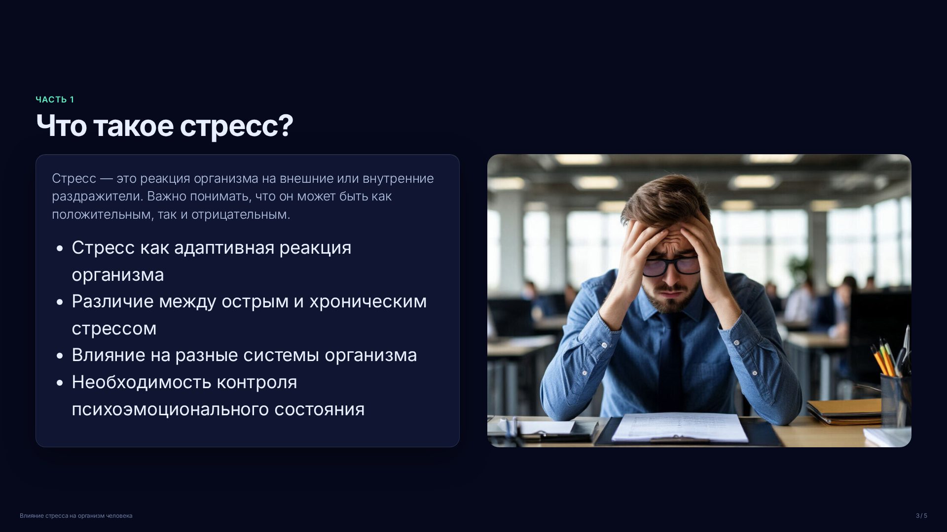 Слайд 3
