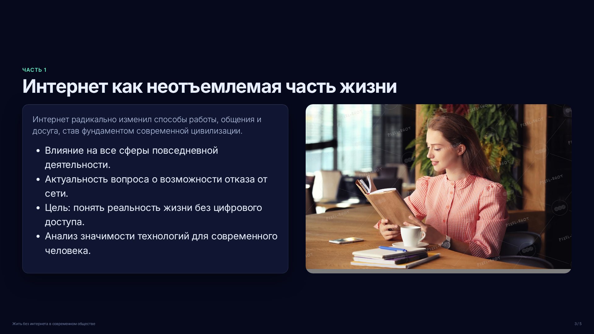 Слайд 3
