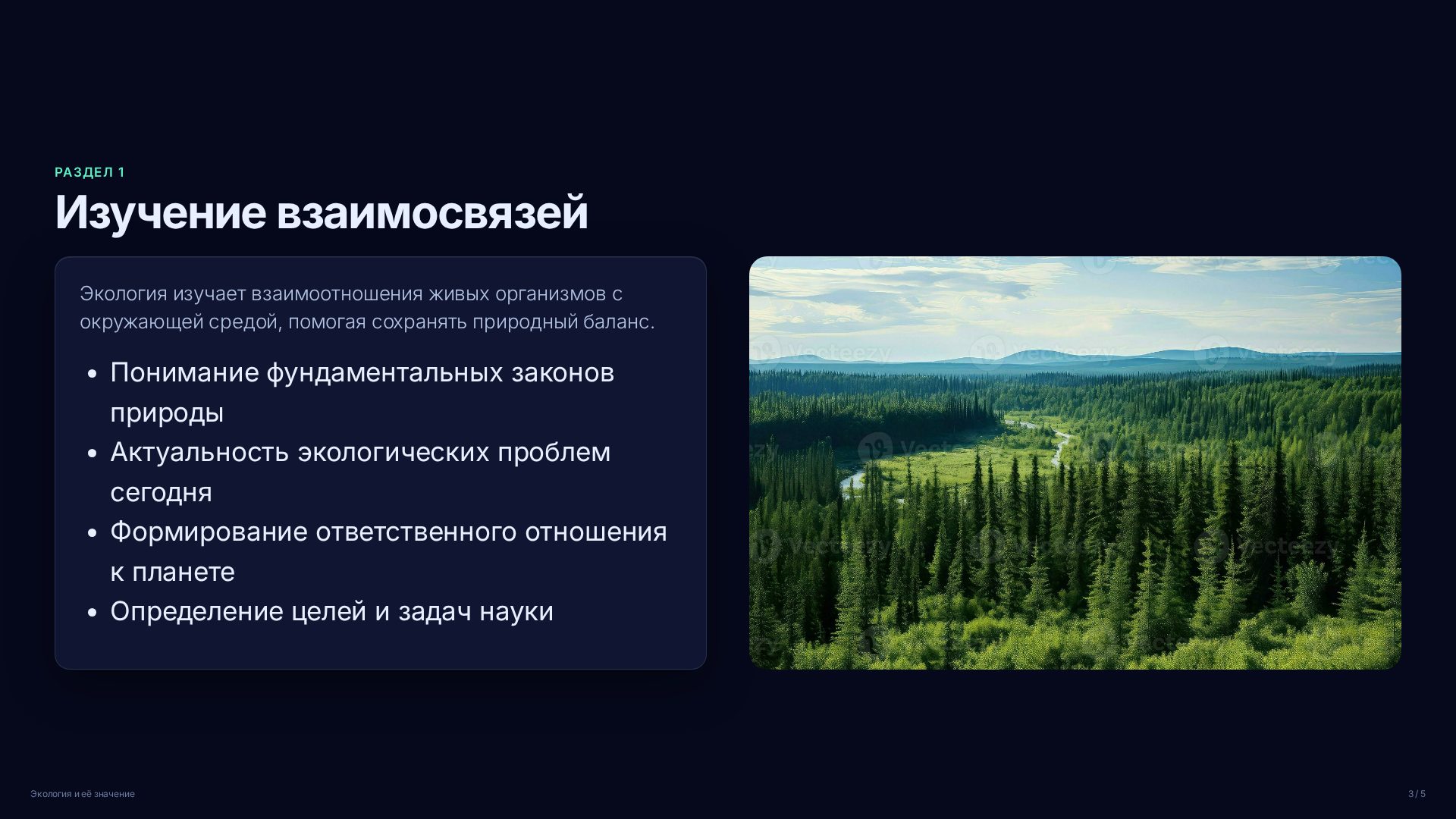 Слайд 3