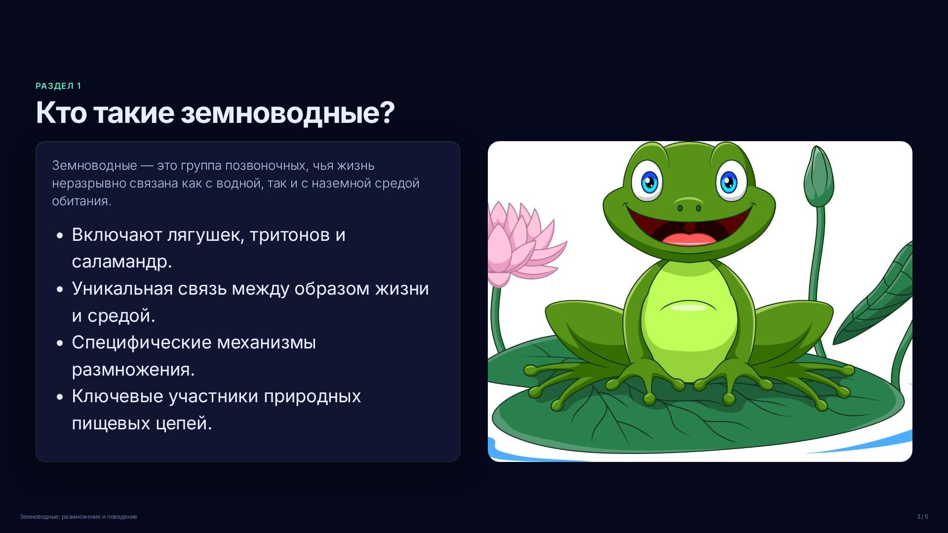 Слайд 3