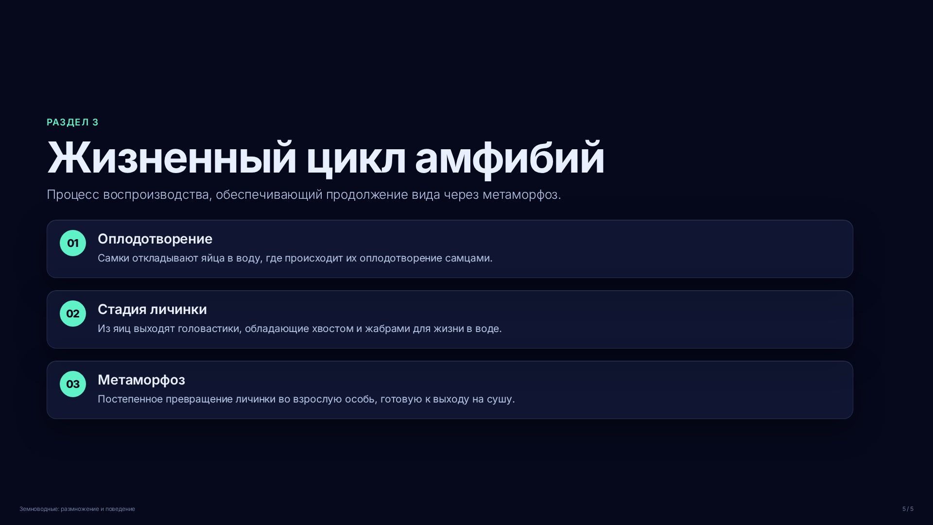 Слайд (заблокировано)
