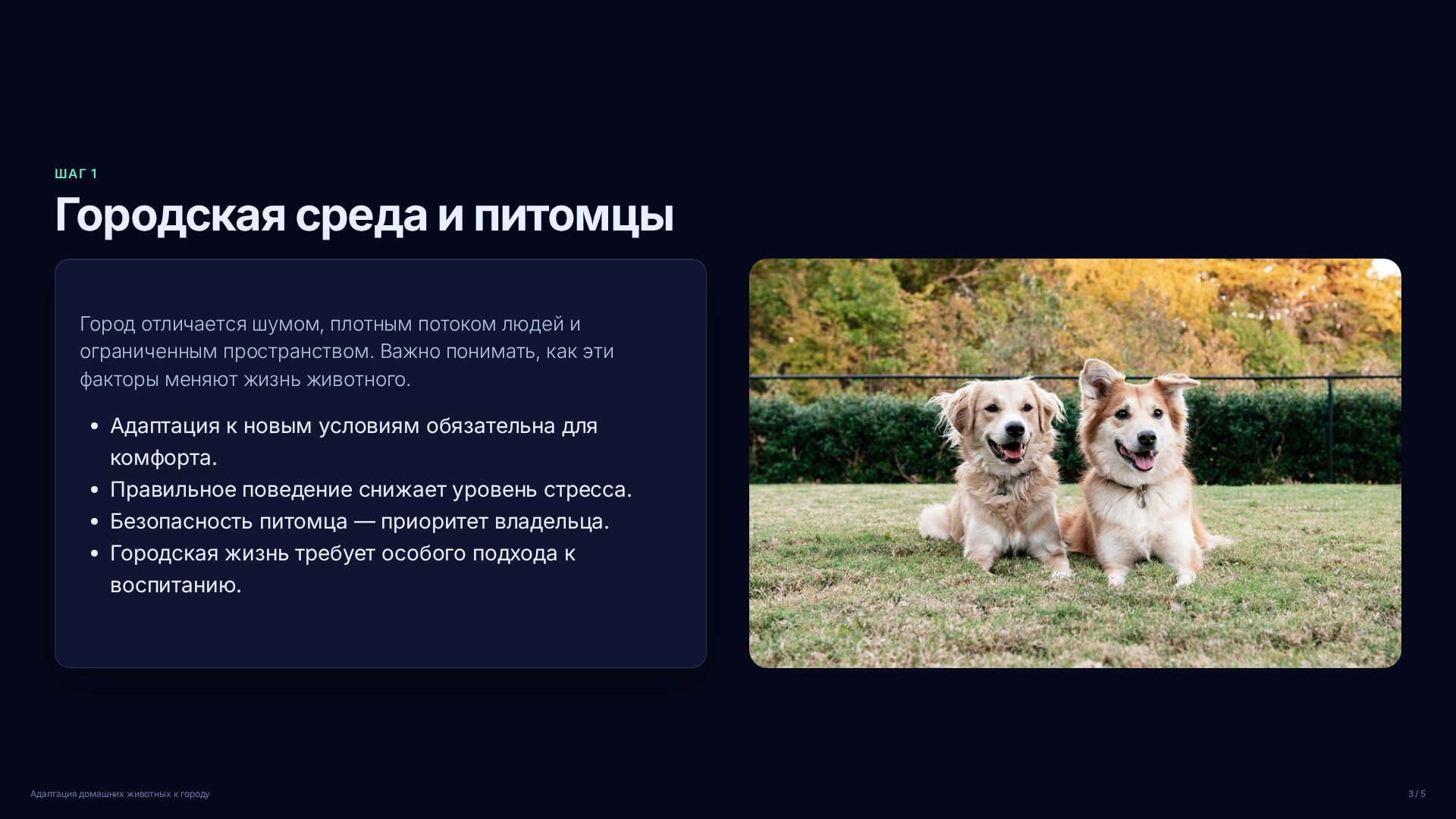 Слайд 3