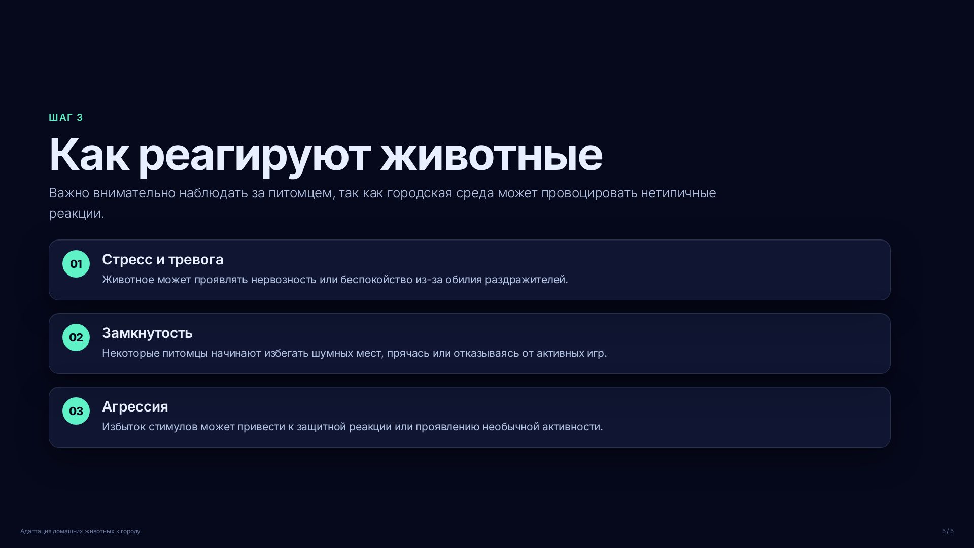 Слайд (заблокировано)