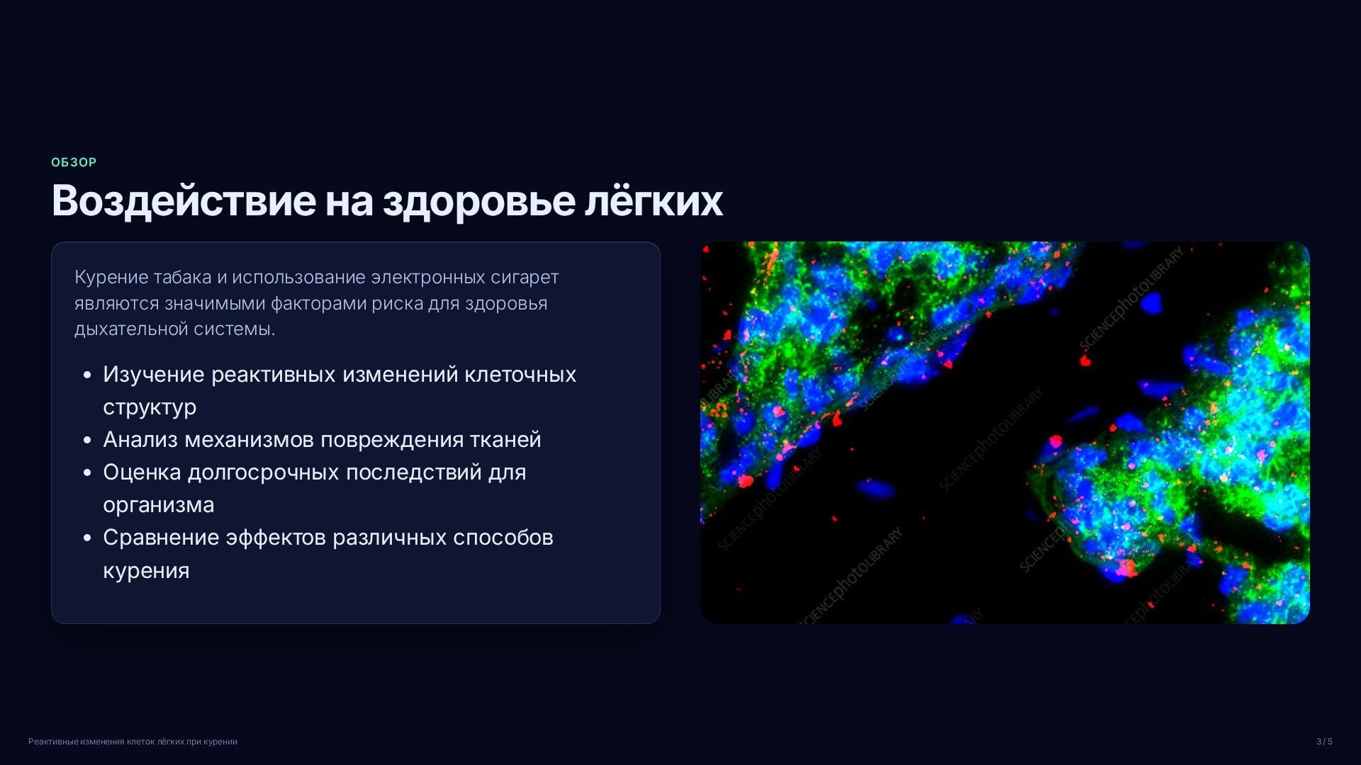Слайд 3