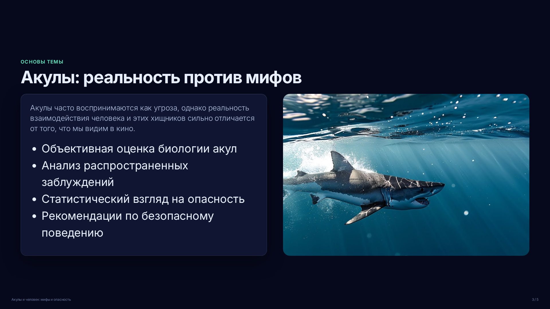 Слайд 3