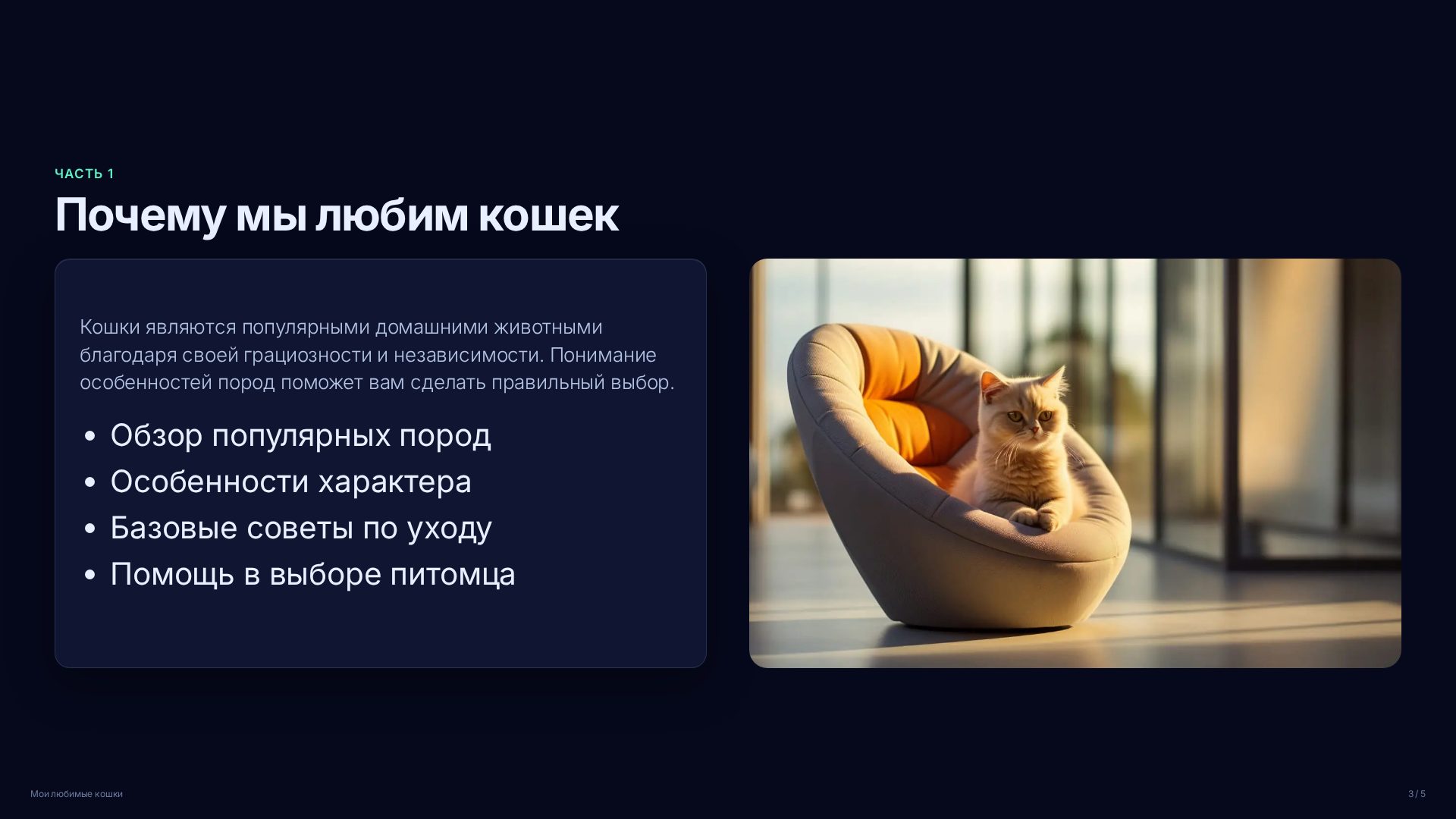 Слайд 3