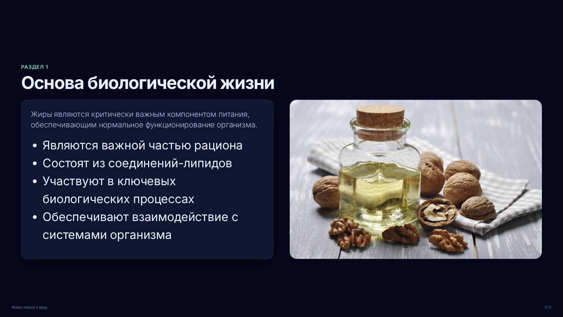 Слайд 3