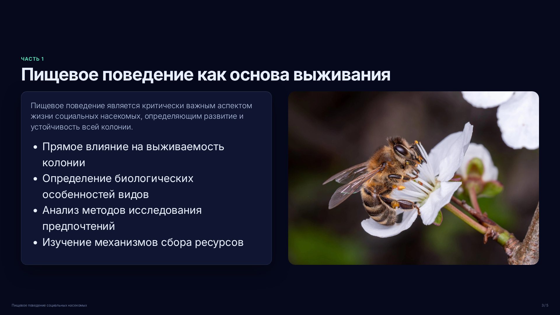 Слайд 3