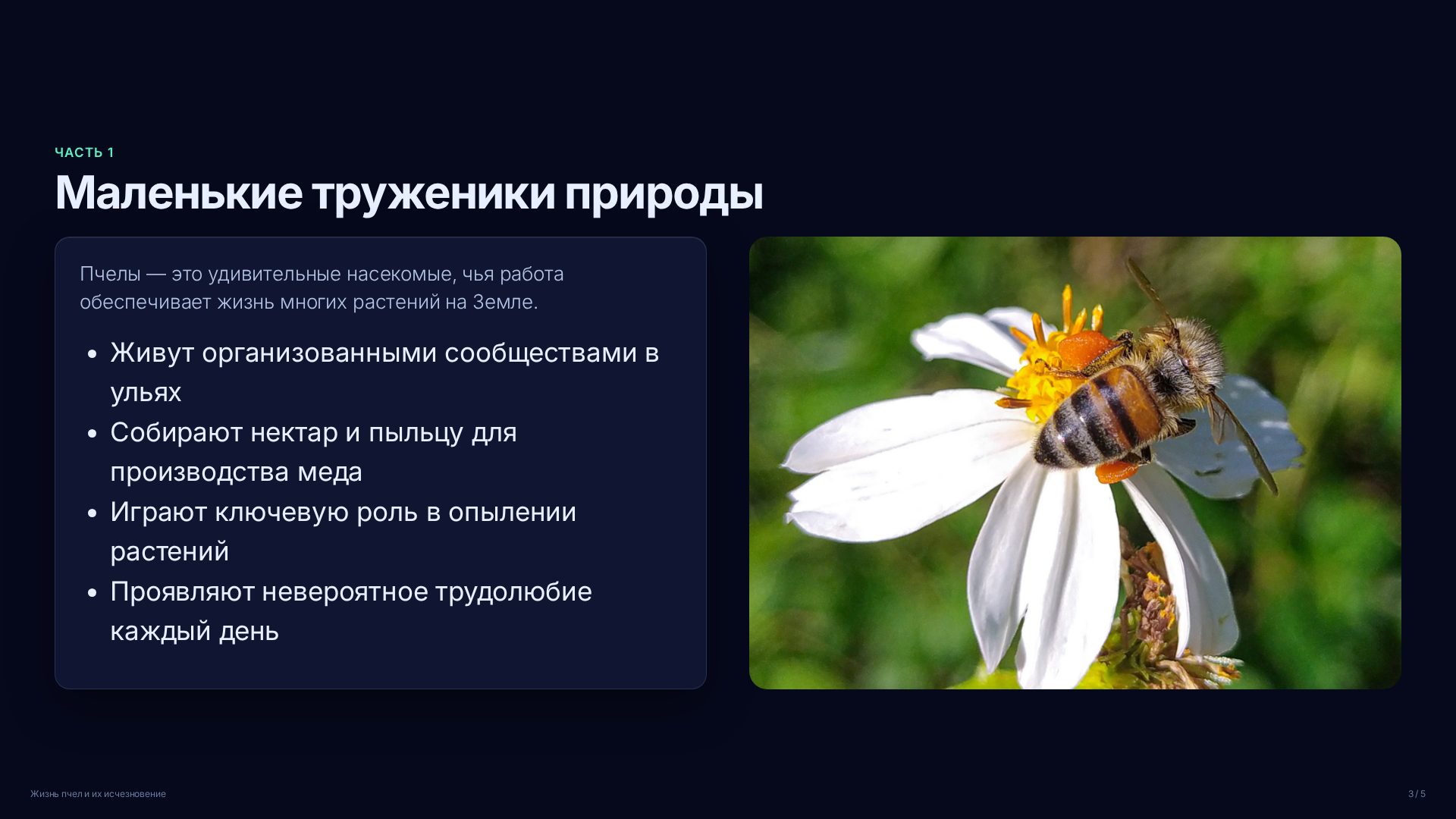 Слайд 3