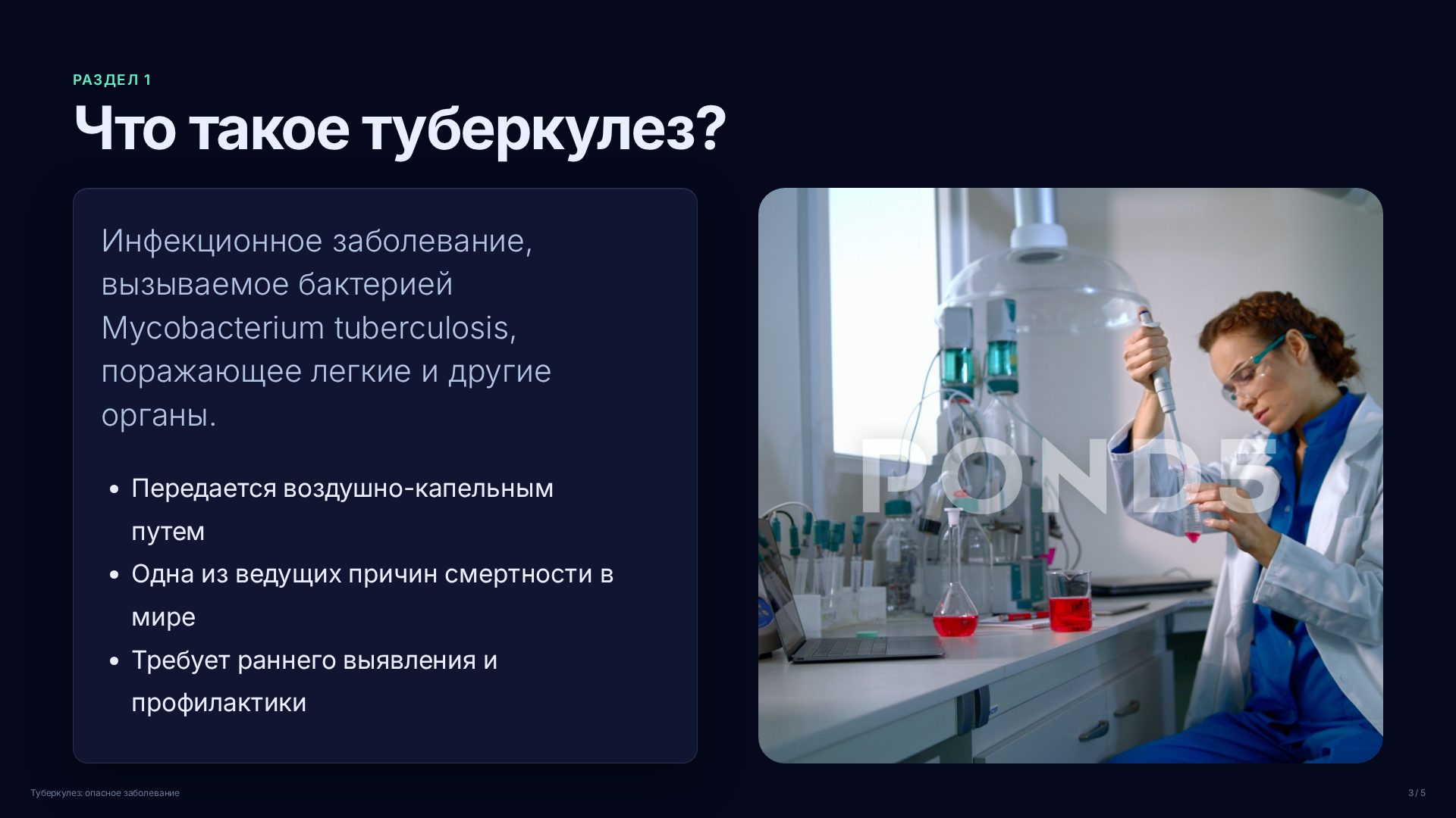 Слайд 3