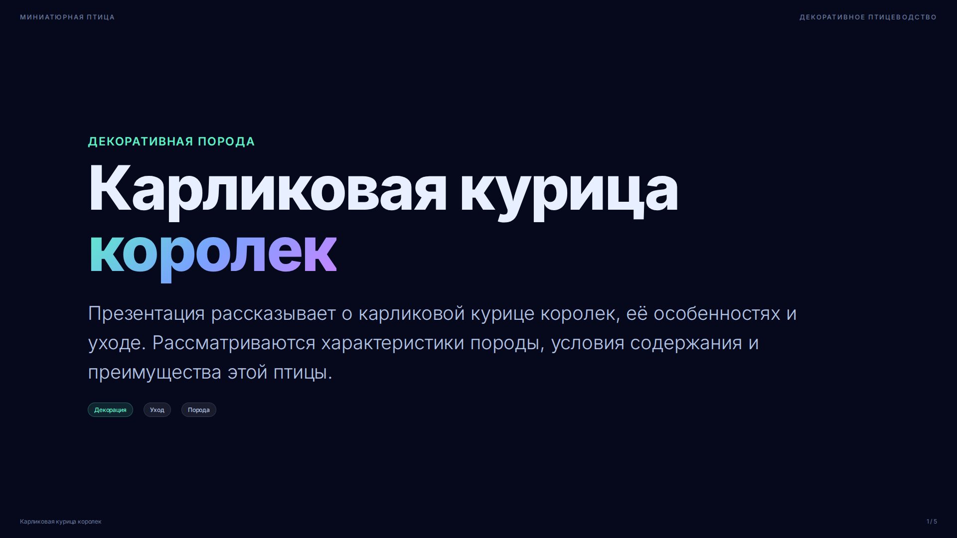 Слайд 1