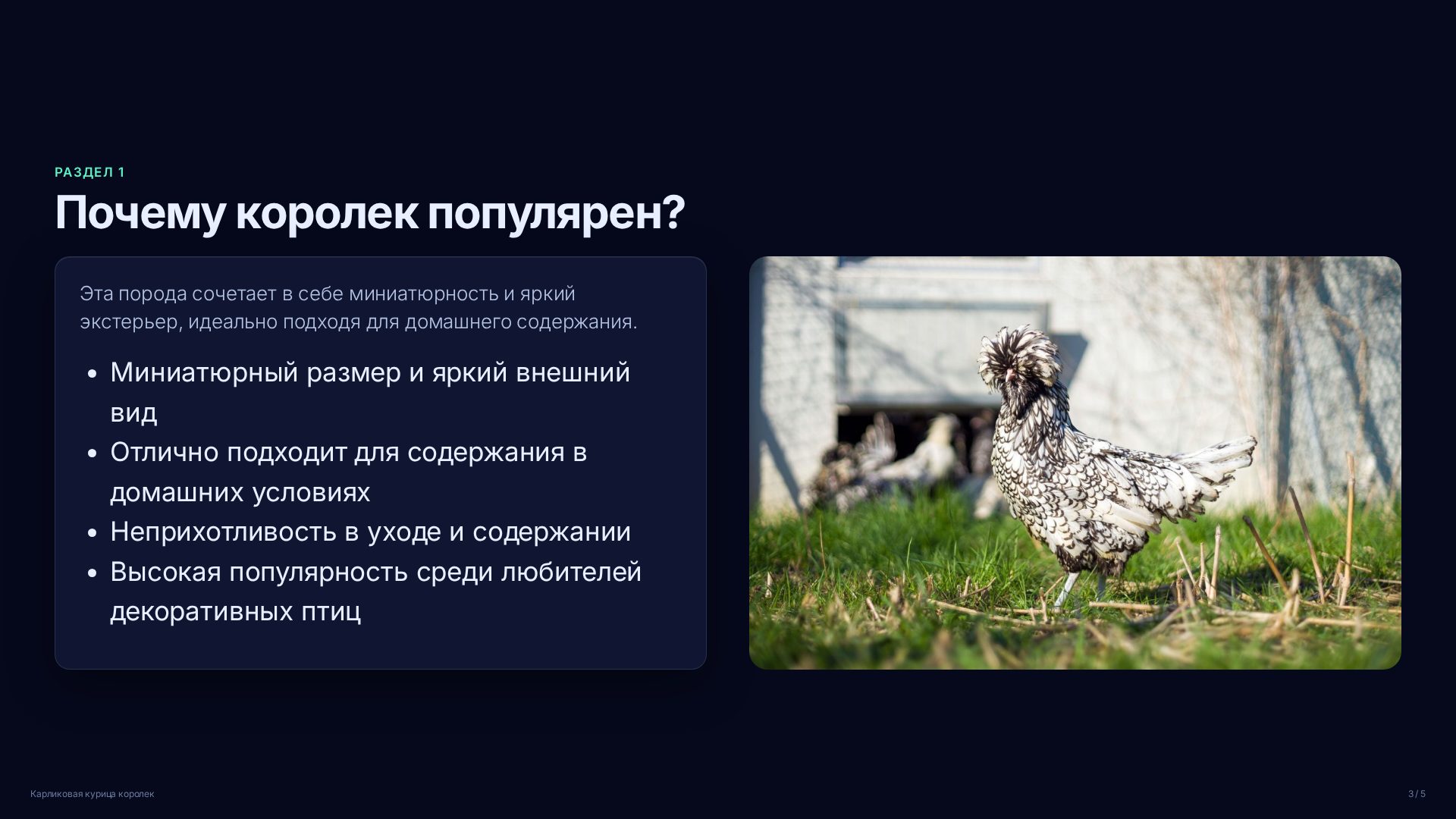 Слайд 3