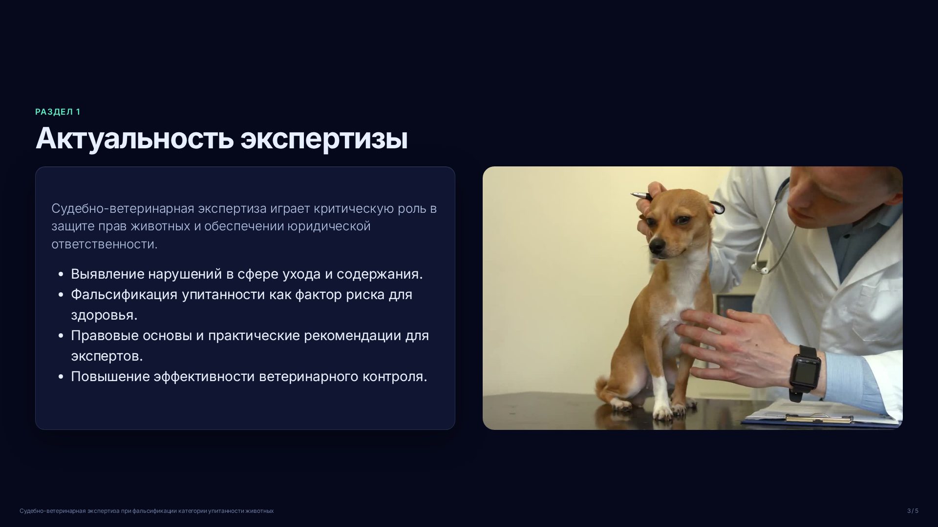Слайд 3