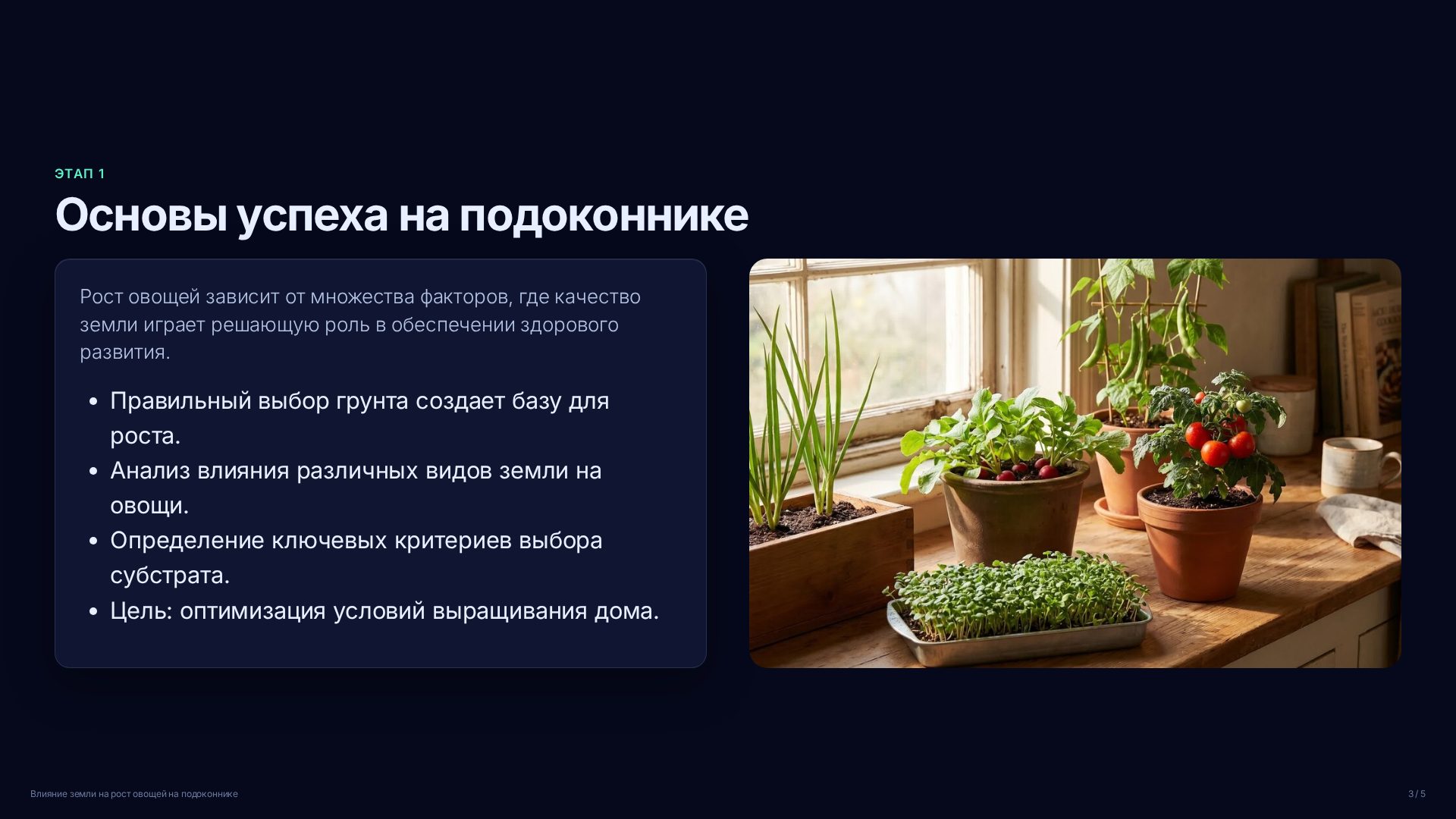 Слайд 3