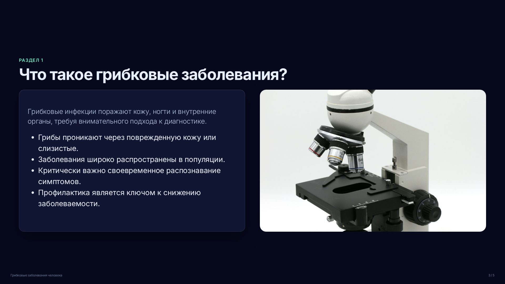 Слайд 3