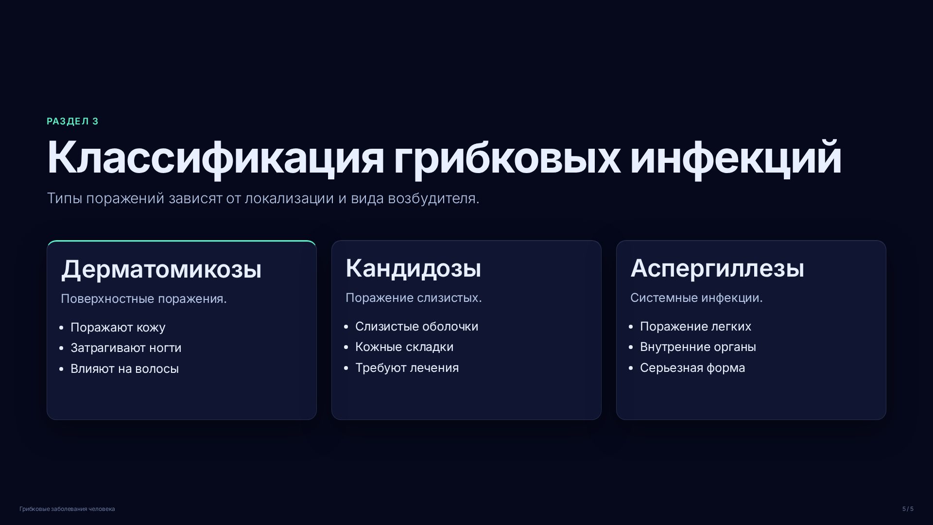 Слайд (заблокировано)