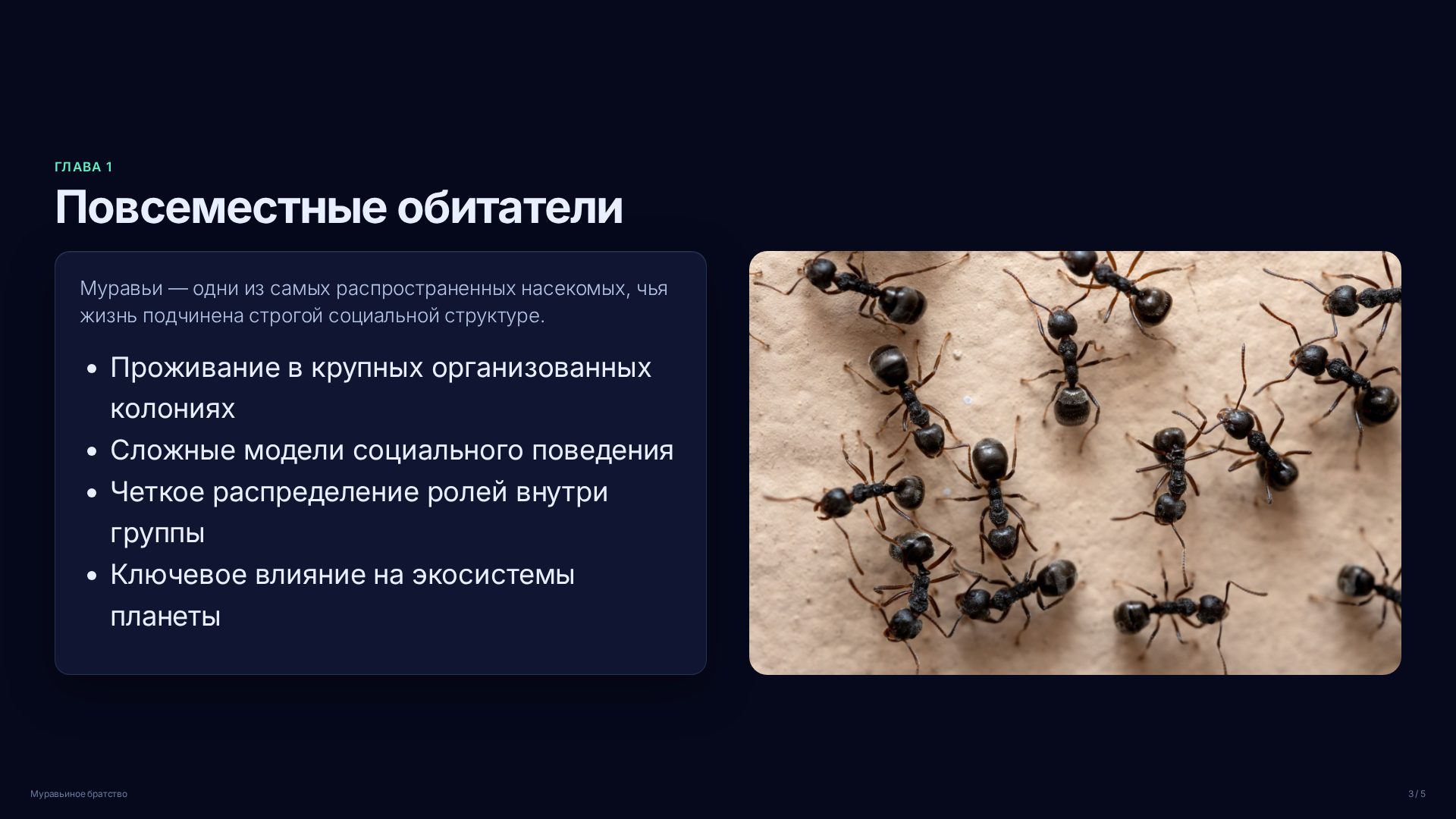 Слайд 3