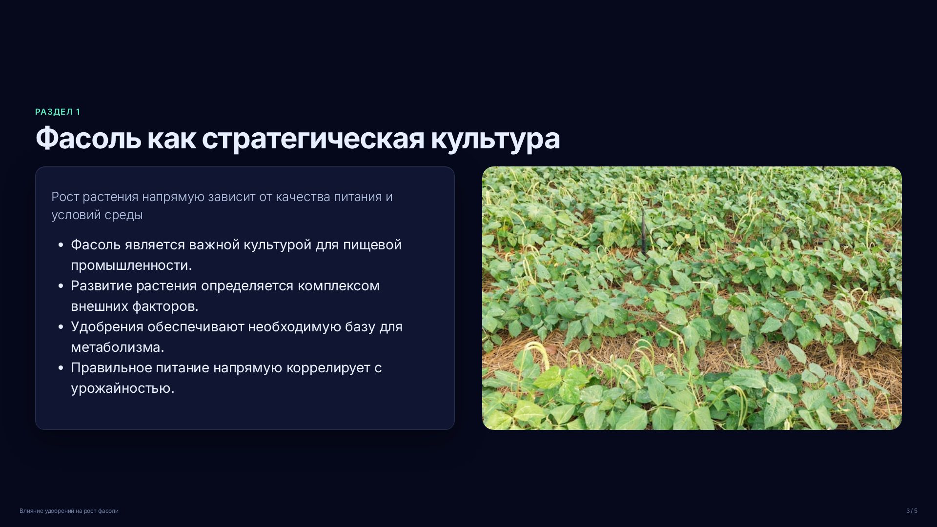 Слайд 3