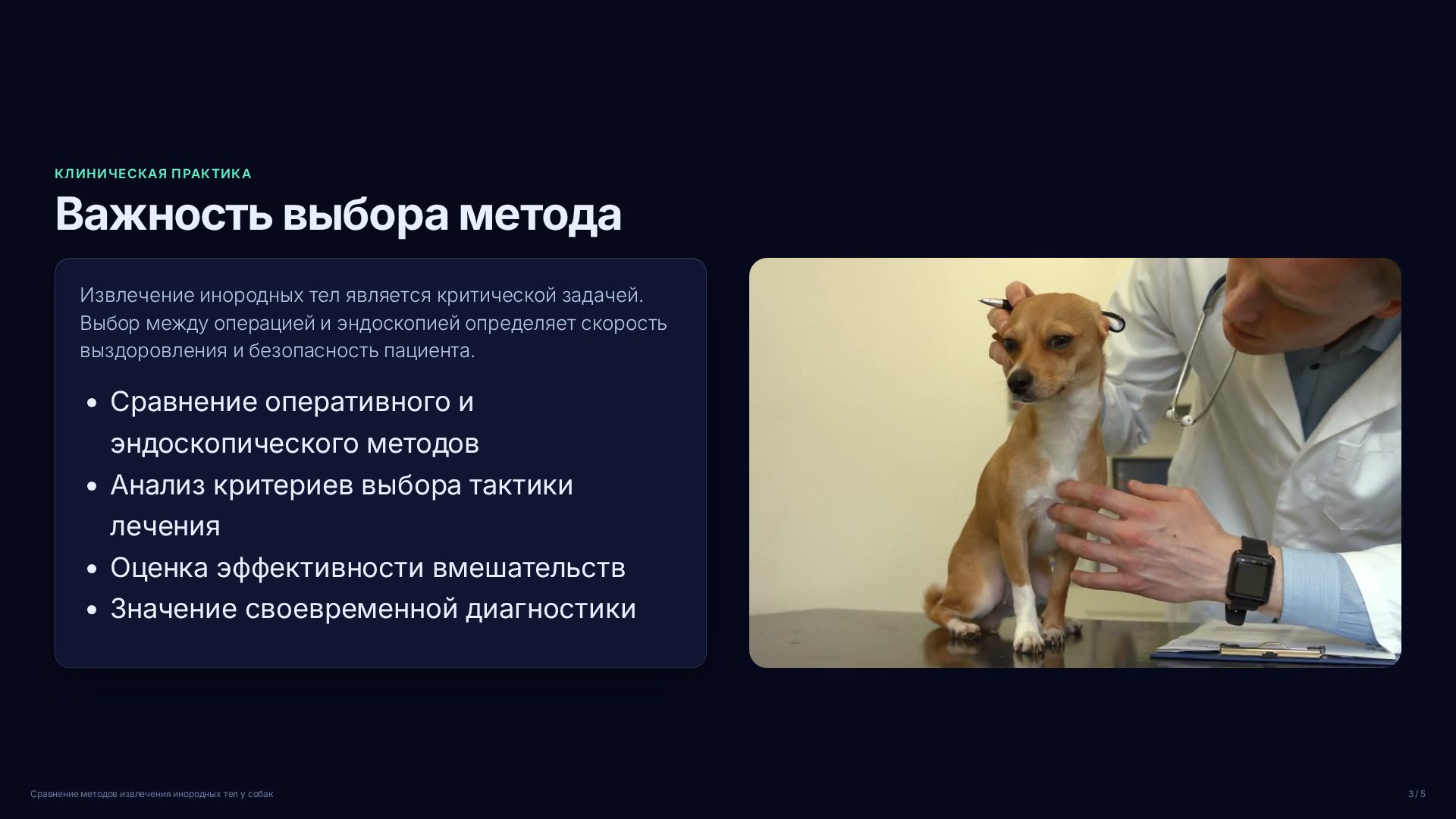 Слайд 3