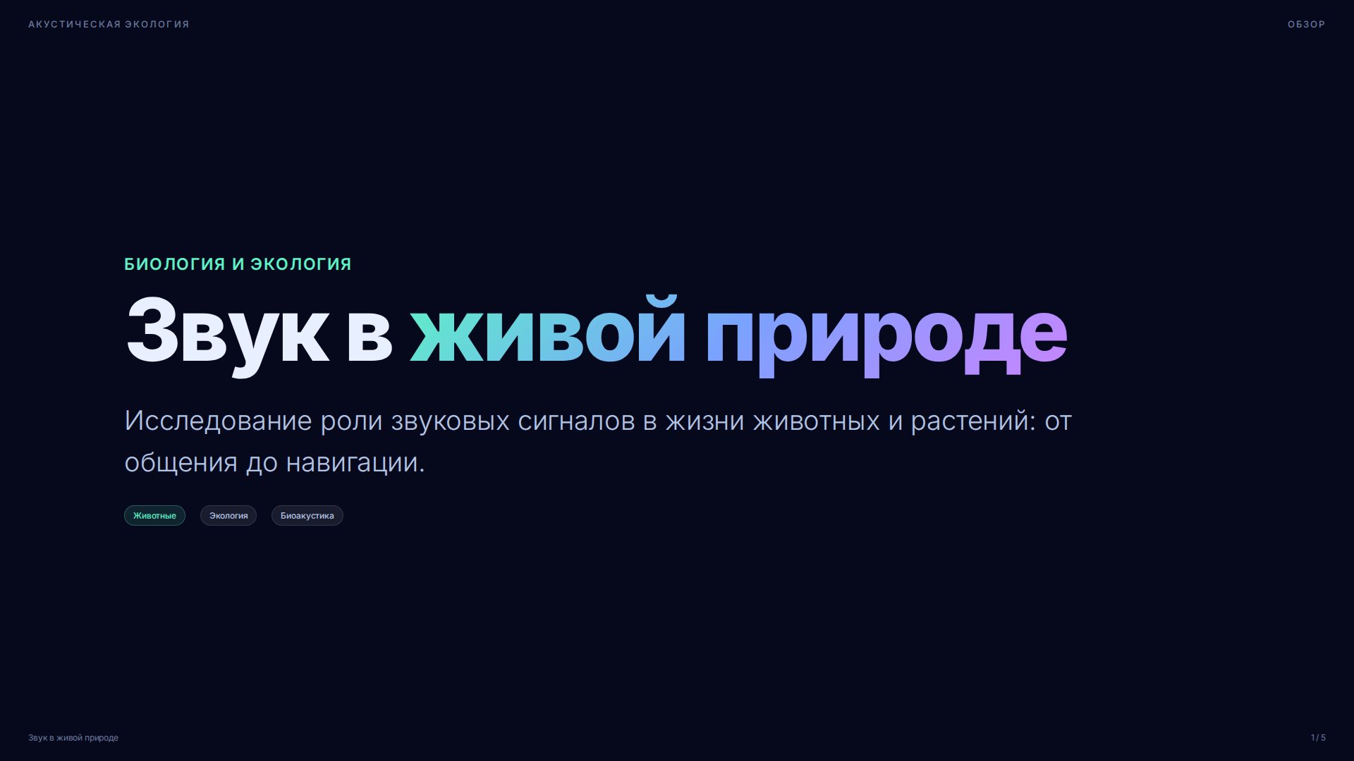 Слайд 1