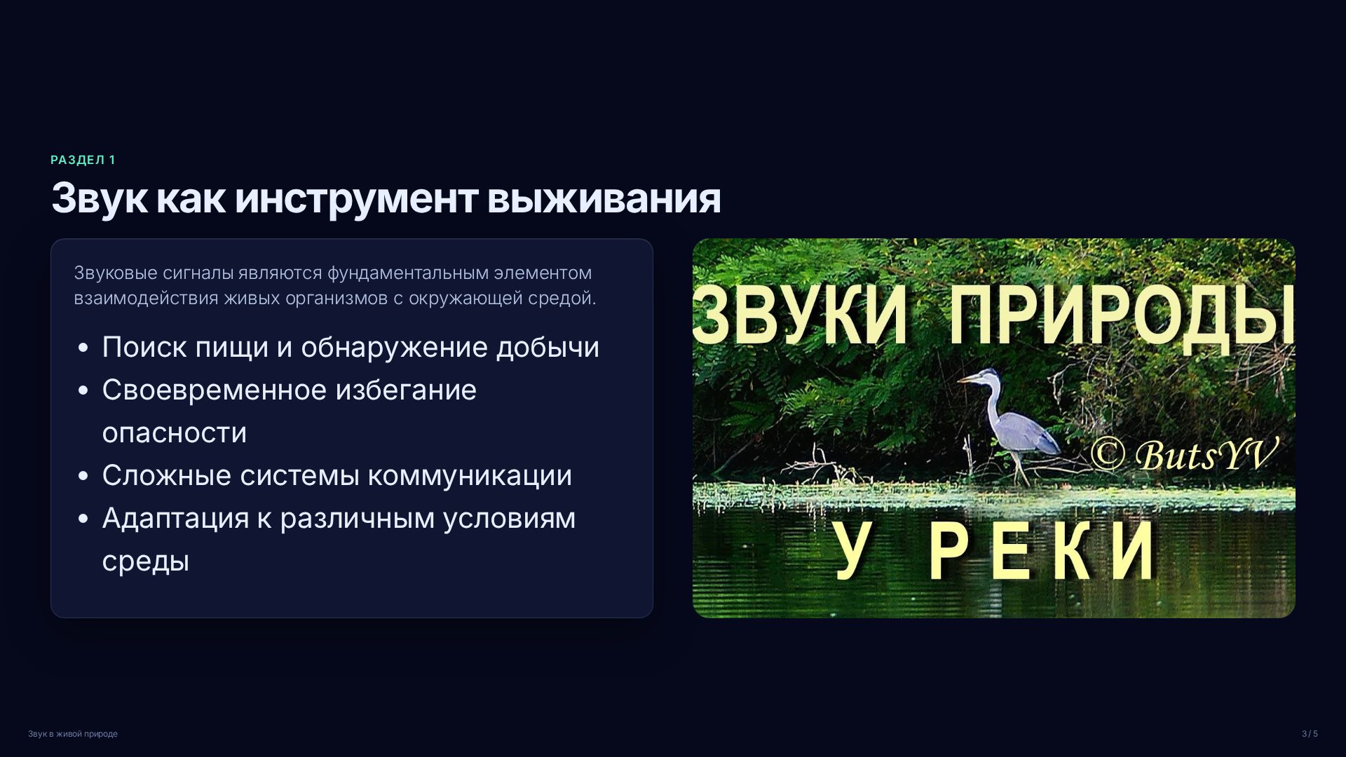 Слайд 3