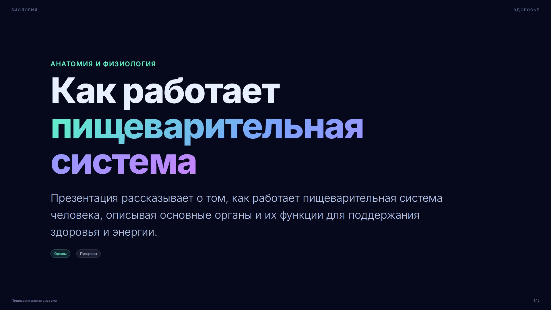 Слайд 1