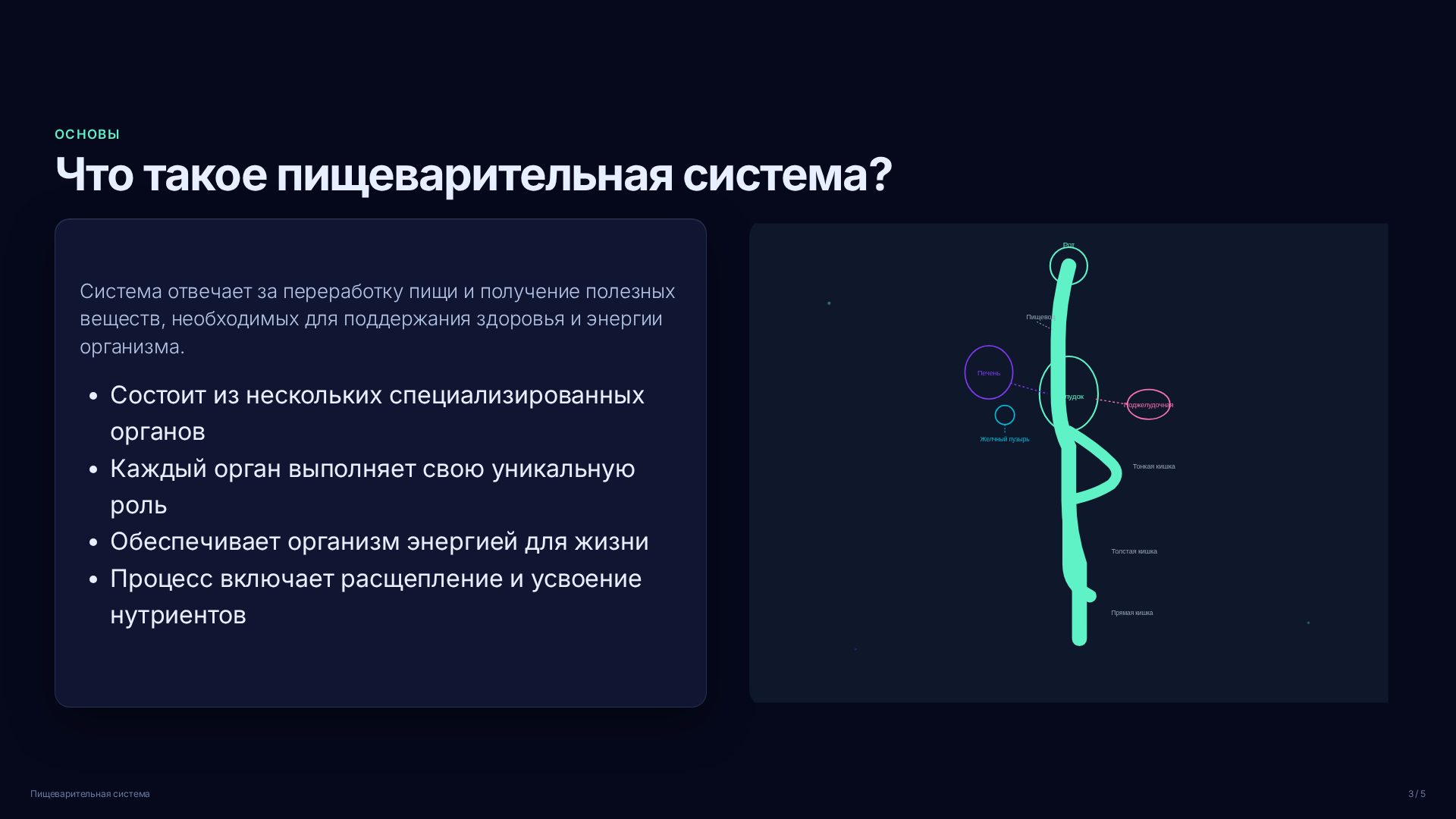 Слайд 3