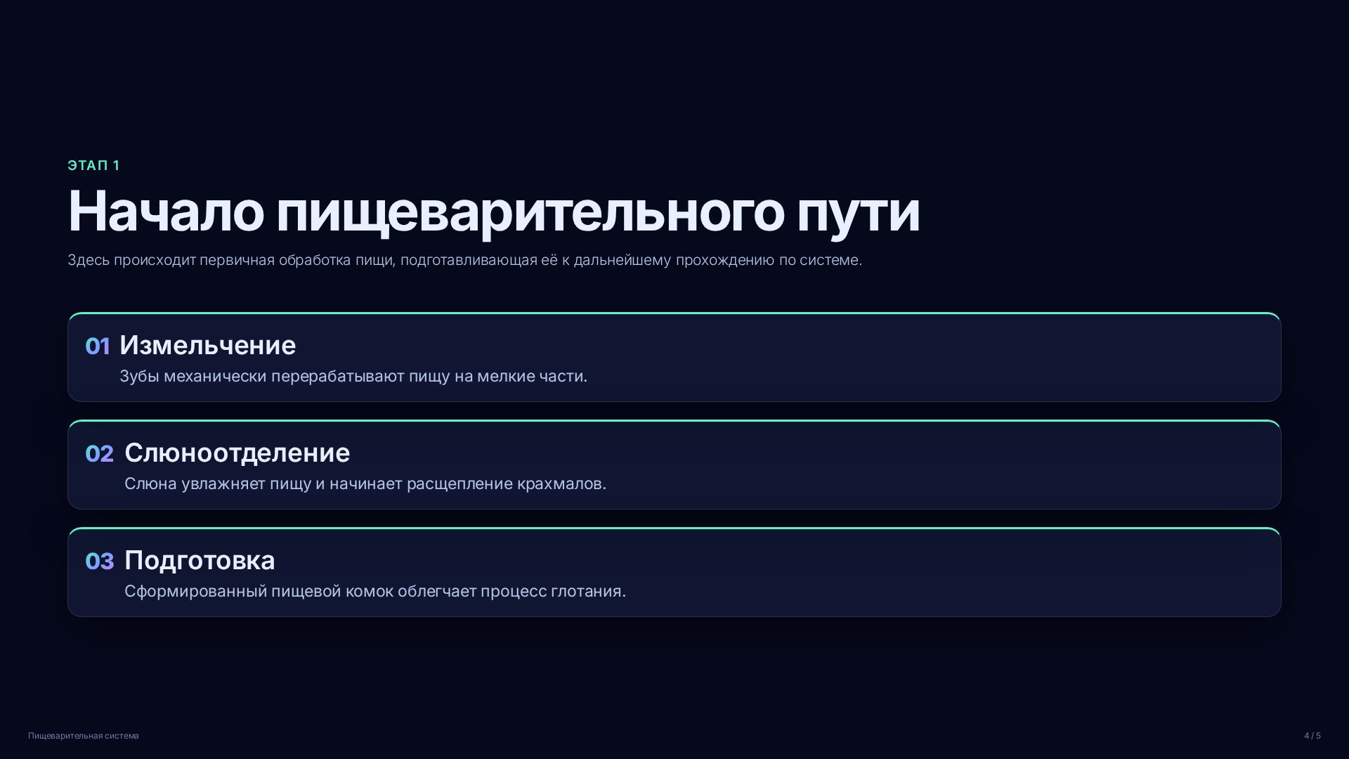 Слайд 4