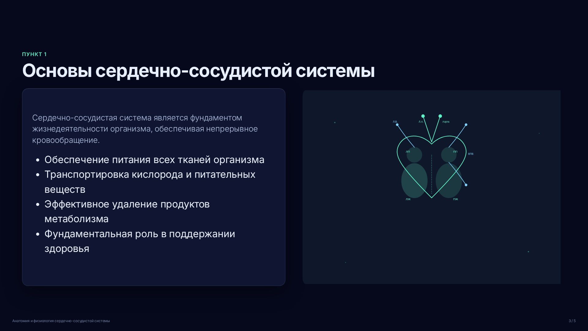 Слайд 3