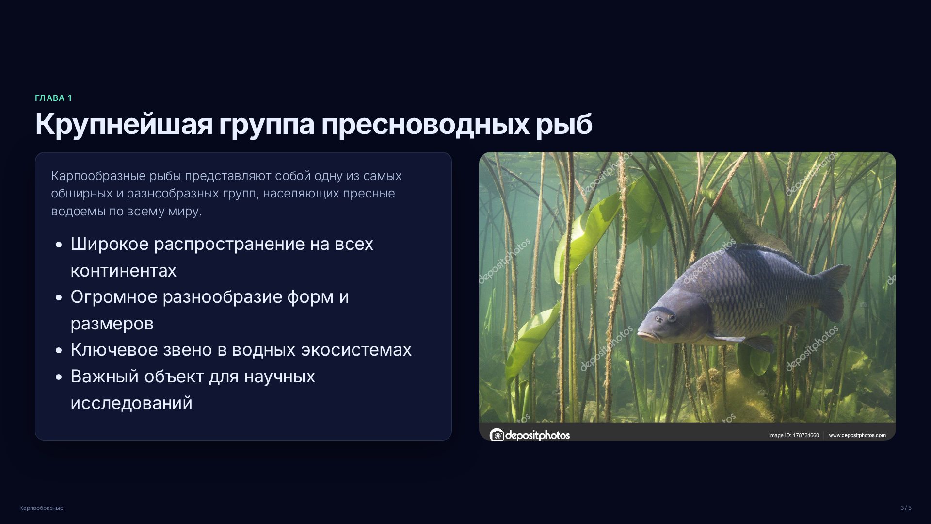 Слайд 3