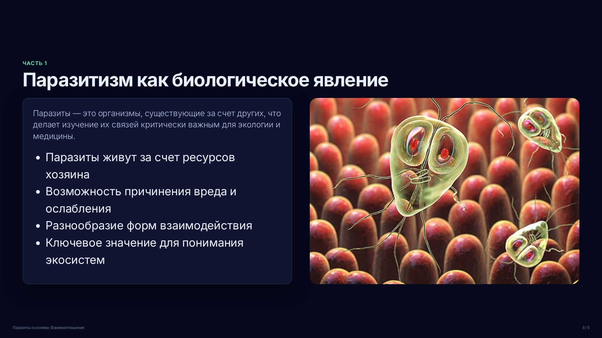 Слайд 3