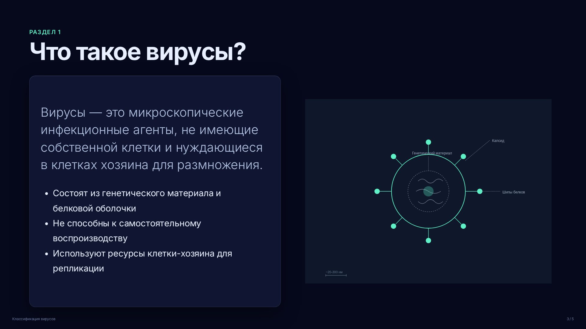 Слайд 3