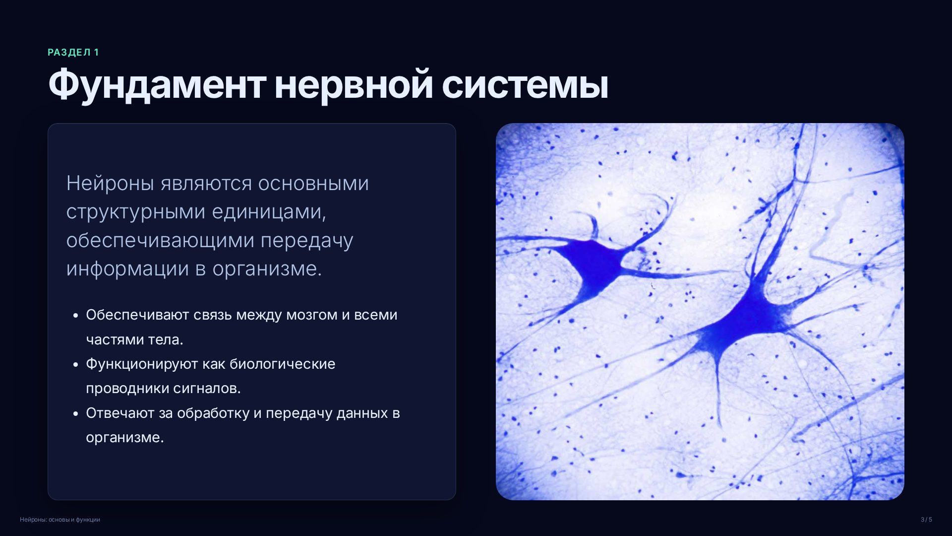 Слайд 3