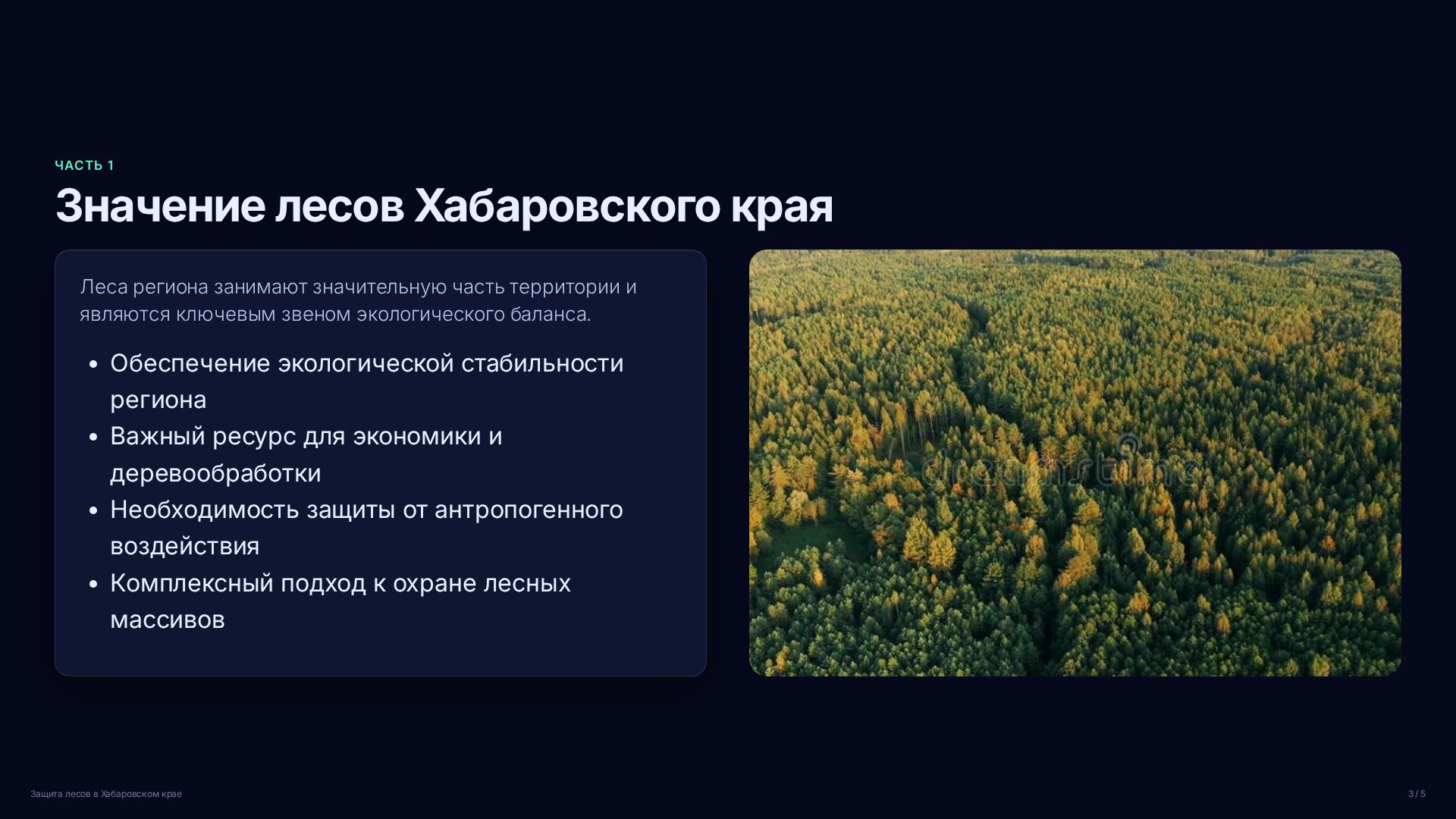 Слайд 3