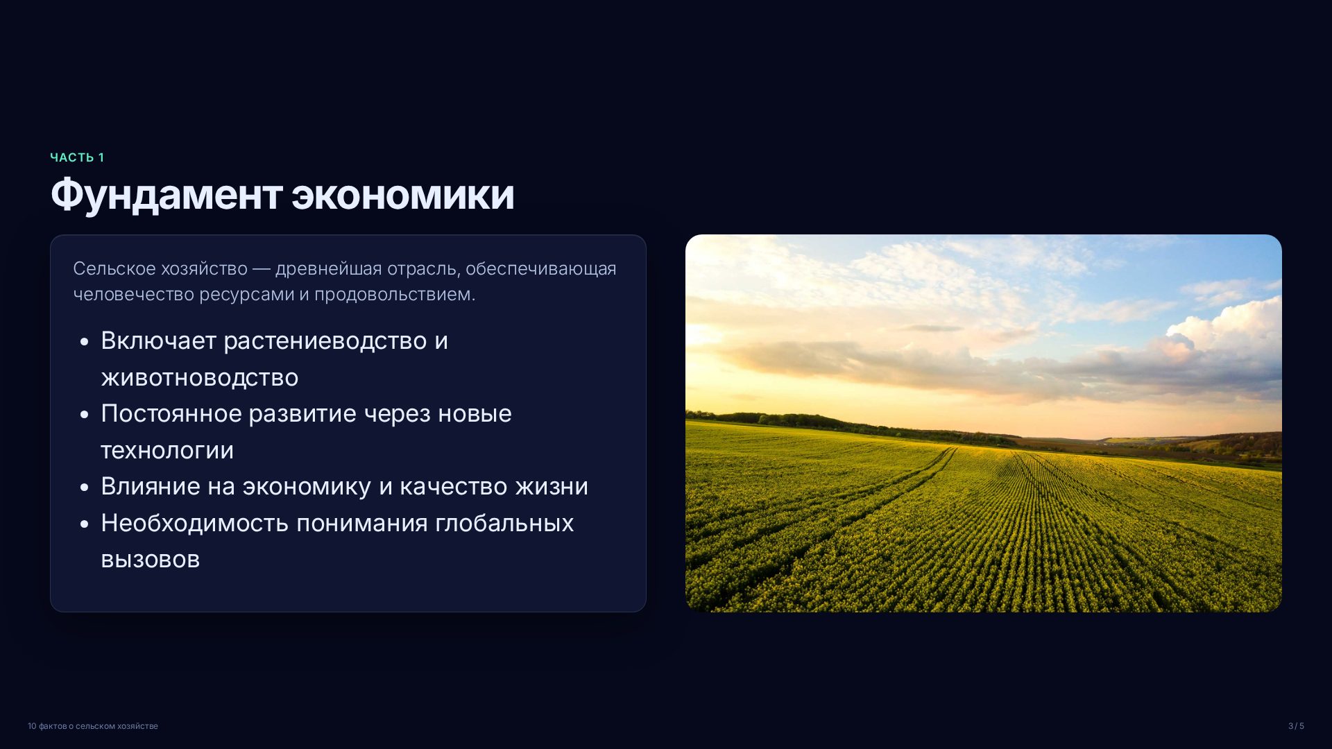 Слайд 3