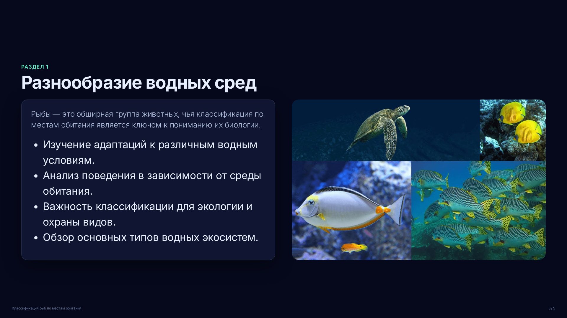 Слайд 3