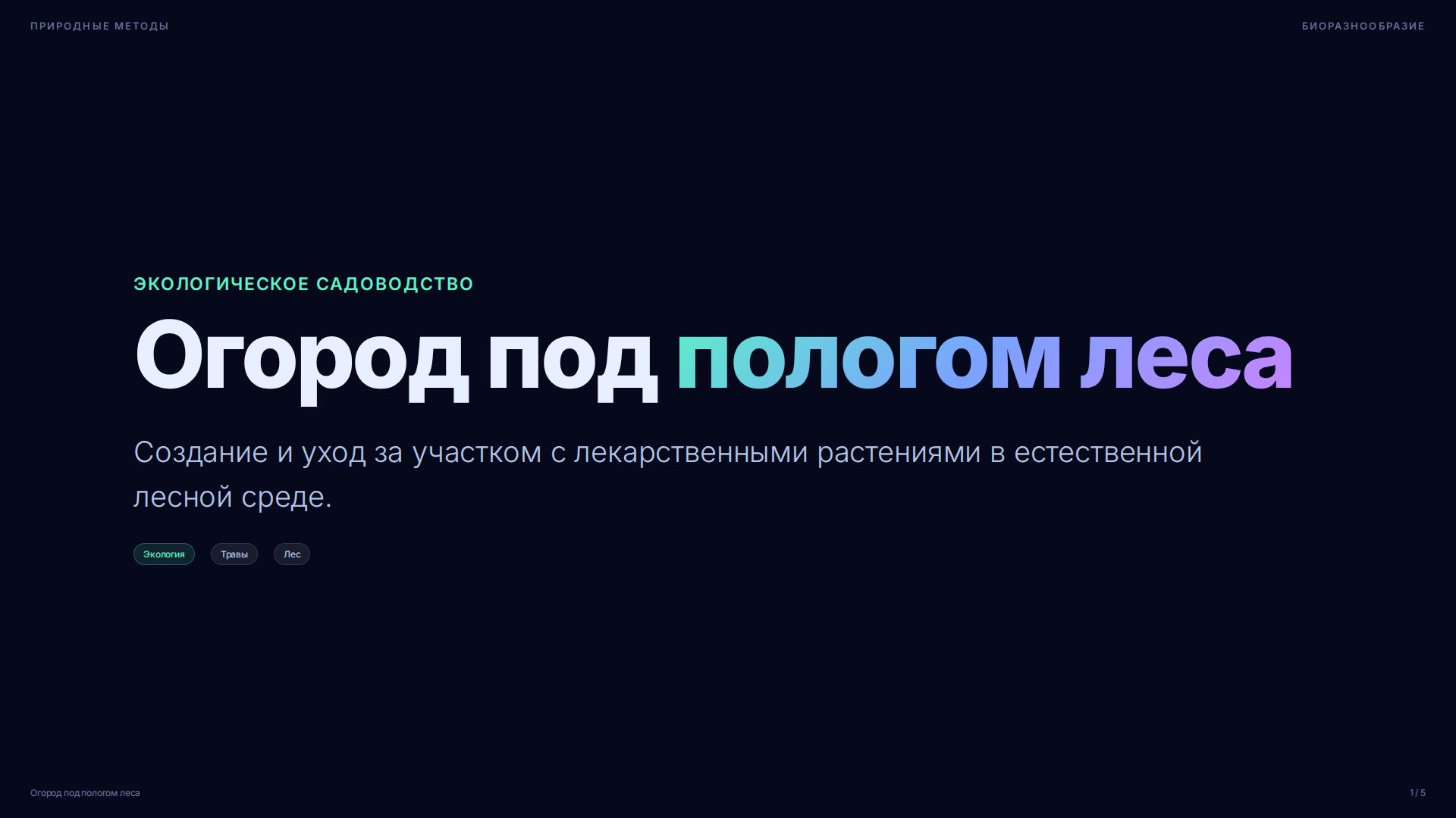 Слайд 1