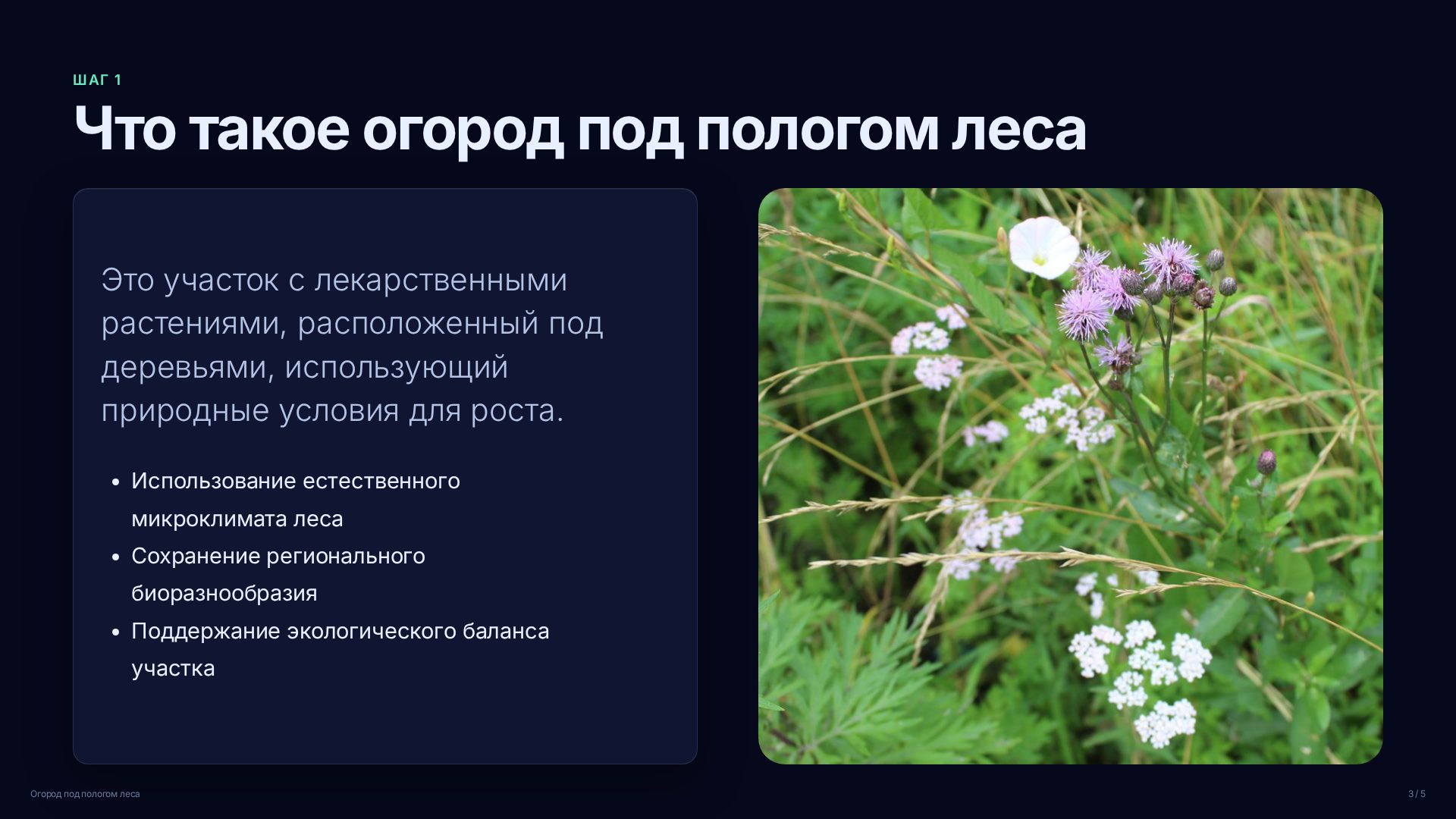 Слайд 3