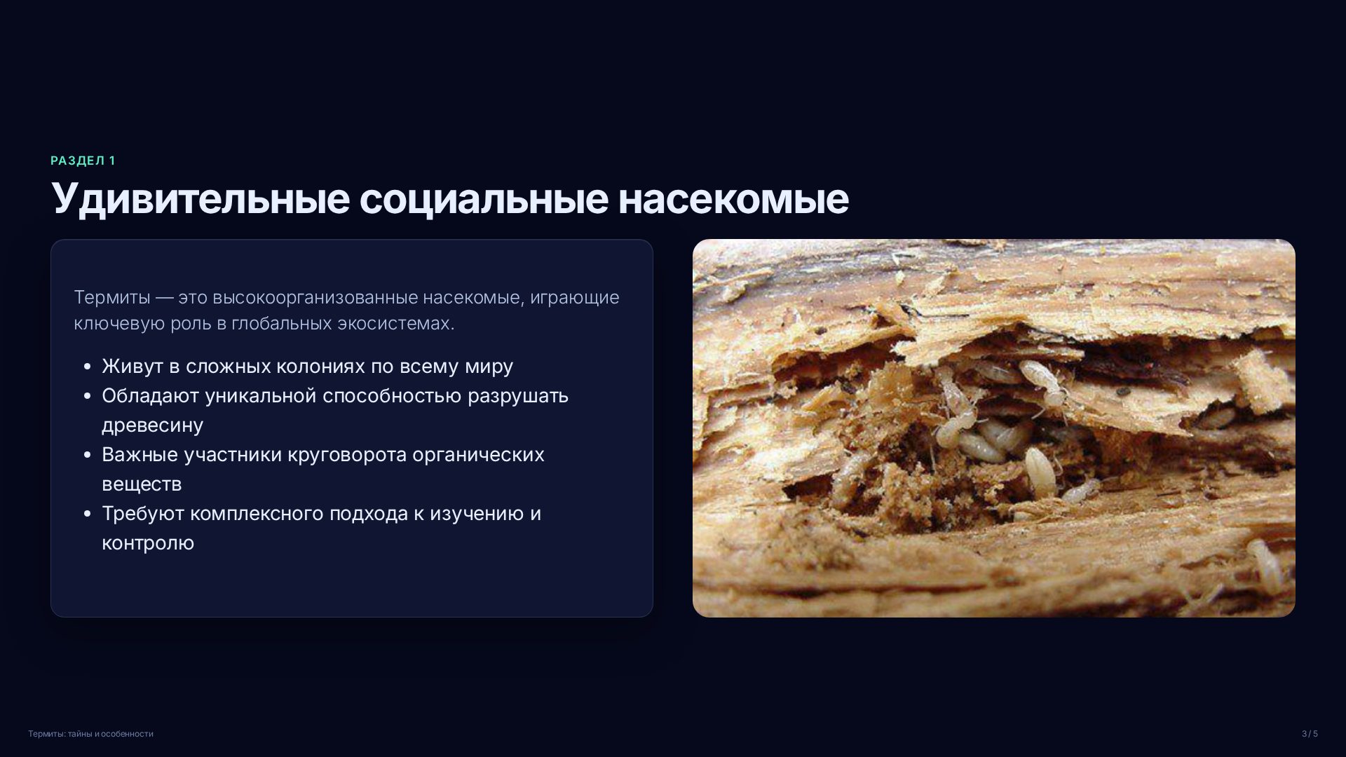 Слайд 3