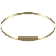 Maytoni Technical Rim Латунь Потолочный светильник