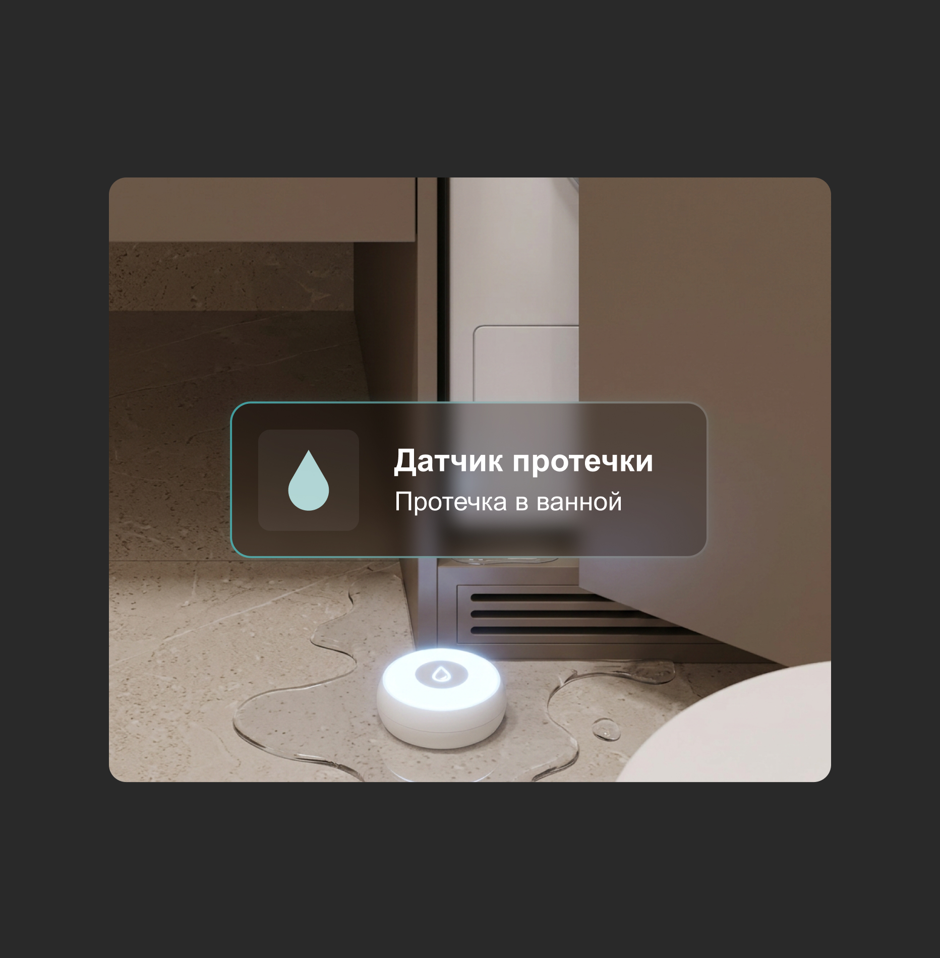 датчик