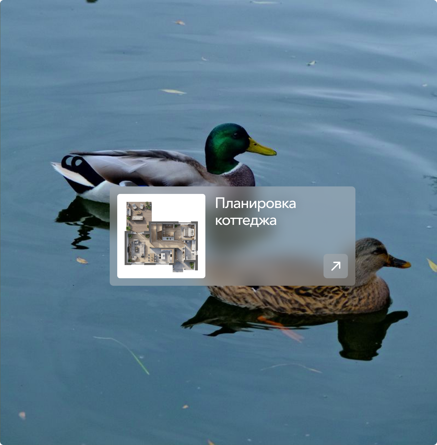 Поп-ап