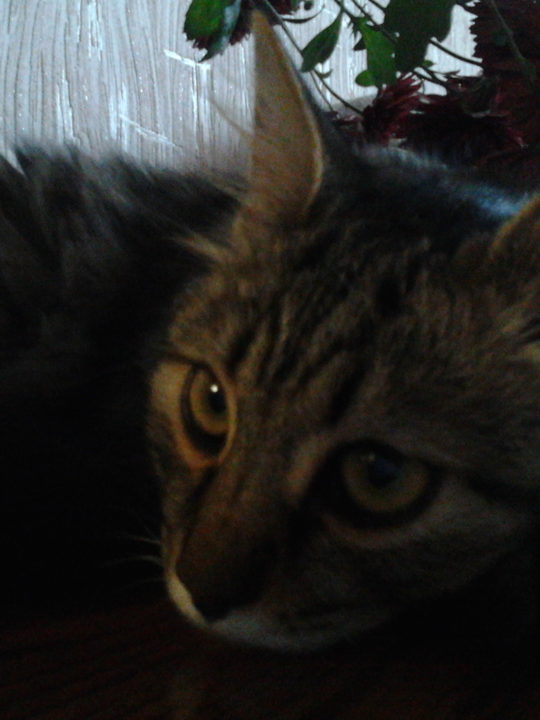 Специалист Екатерина