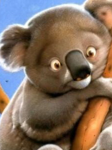 KoalaProfessor